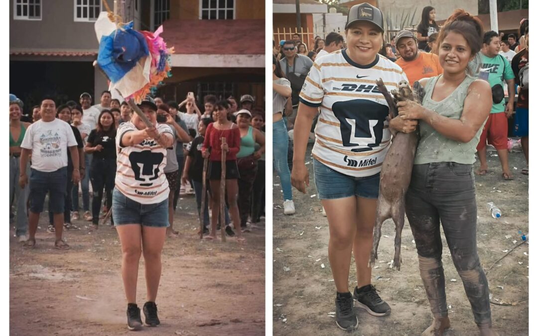 Condena social e investigaciones por maltrato animal en Calkiní