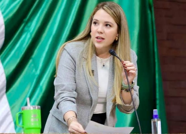 Propone diputada del PVEM licencia gratuita para conductores primerizos en Nuevo León