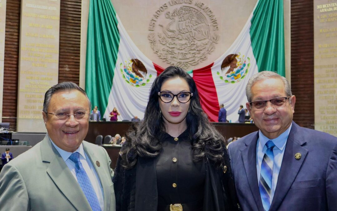 Reconoce diputada Giselle Arellano productividad legislativa