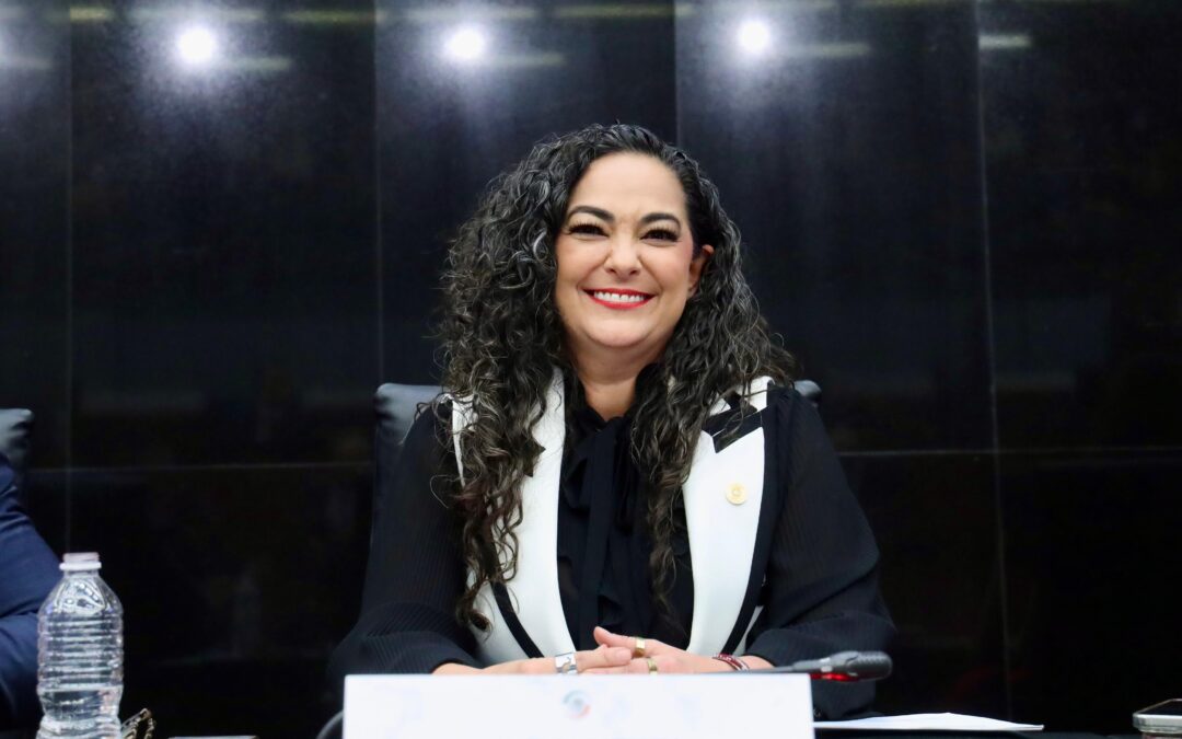 Hay gobernabilidad, estabilidad política y avances en seguridad: Olga Sosa