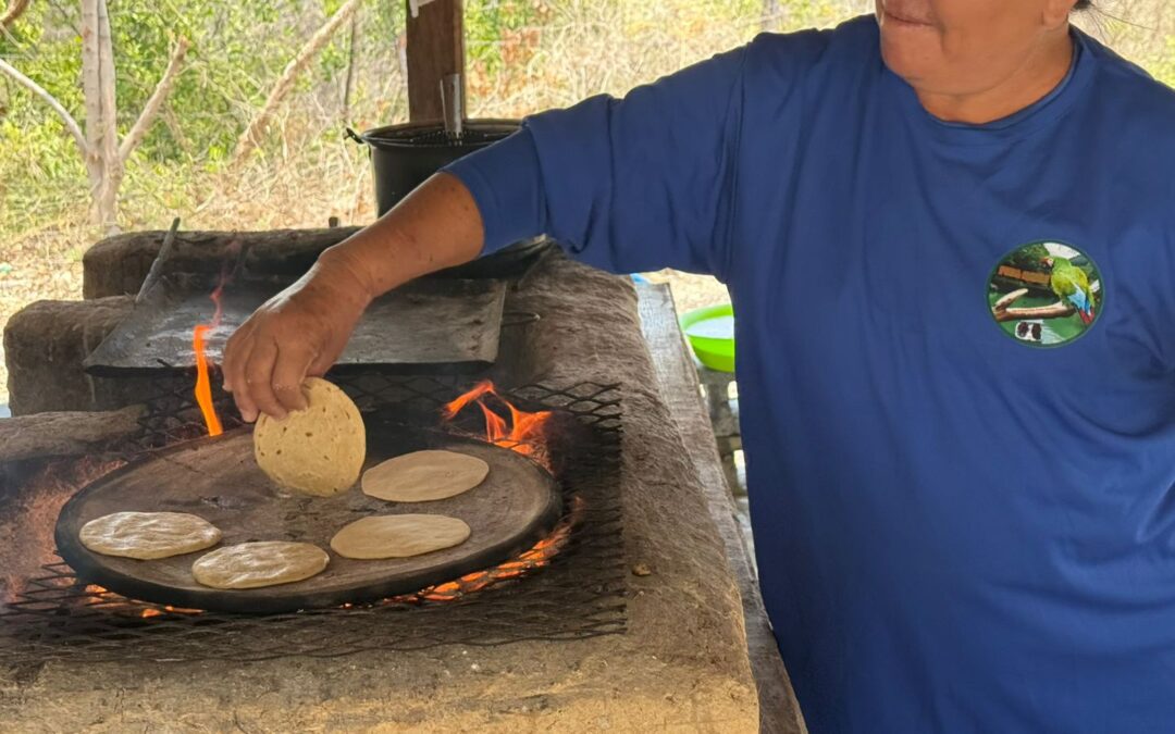 Impulsan turismo y gastronomía en la Poza Madre de Ocampo