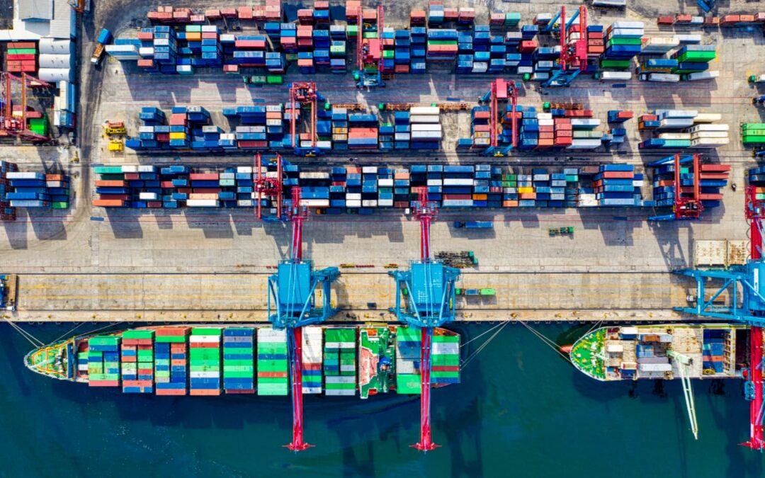 Escándalo en la ANAM: liberan 33 contenedores ilegales con documentos falsos