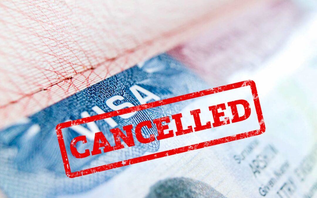 Van por más visas de politicos