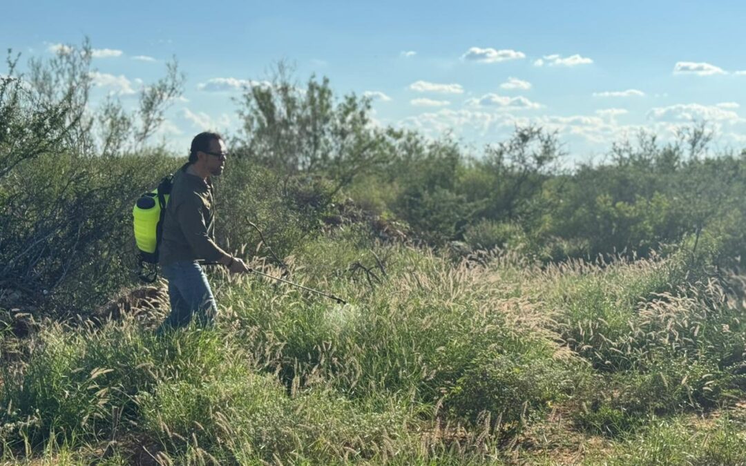 Combate PVEM proliferación de mosquitos en diversas colonias