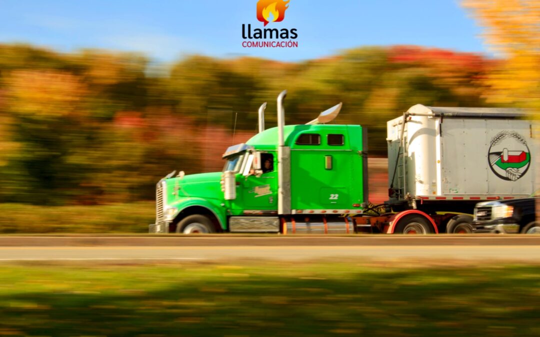 No English… No License…