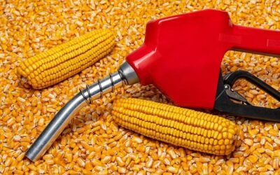 Fortalece Tamaulipas liderazgo energético en Global Ethanol Summit 2025
