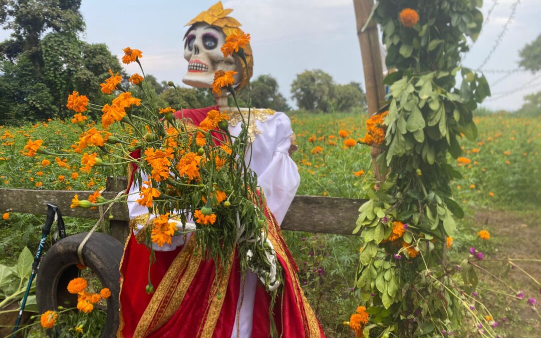 Ritos y Ritualidad en San Pablo Coapan: La Flor de Cempasúchil como Camino Ancestral