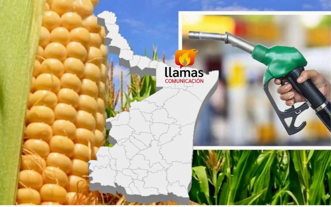 Comparte EEUU a Tamaulipas experiencia para impulsar uso de etanol