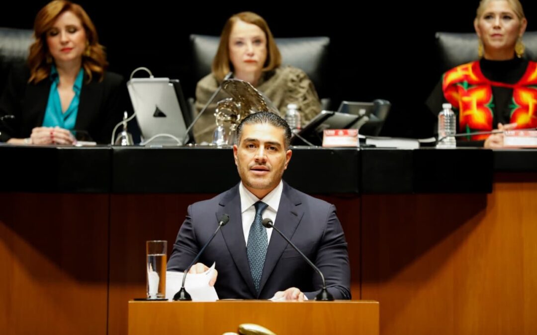 Comparece Omar García Harfuch en el Senado, Estrategia Nacional de Seguridad avanza recuperando territorios para devolver la paz: Olga Sosa