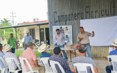 Se suman productores tamaulipecos contra gusano barrenador