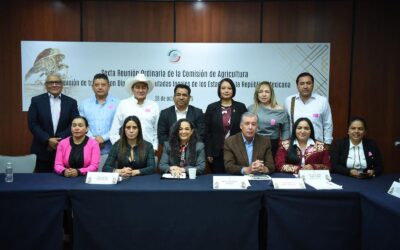 Escuchan al campo desde el Senado: Olga Sosa impulsa diálogo federalista con congresos locales