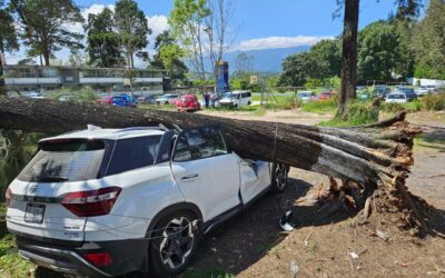 Provocan vientos del Norte daños en Xalapa