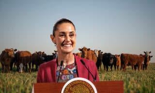 Refuerzan acciones contra gusano barrenador reactivación aún sin fecha