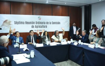 Impulsa Senado seguridad alimentaria y autosuficiencia como ejes del campo mexicano