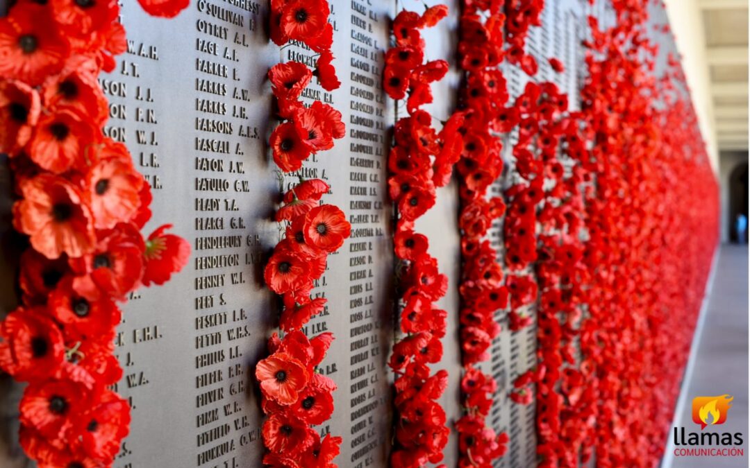 Honra Canadá a sus héroes en el Día del Recuerdo