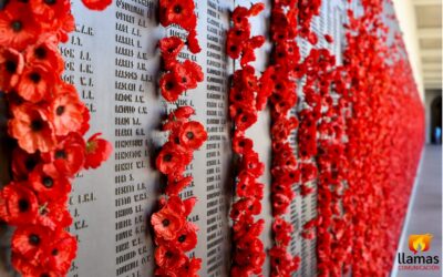 Honra Canadá a sus héroes en el Día del Recuerdo