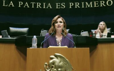 Llama Imelda Sanmiguel a agilizar adopciones en México