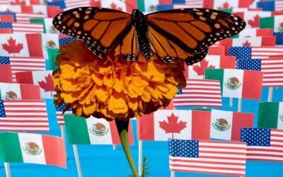 Impulsa Tamaulipas unión con Estados Unidos y Canadá en ruta de la mariposa monarca