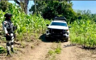 Localizan fosa clandestina en Chalahuite; recuperan tres cuerpos en operativo de SEDENA