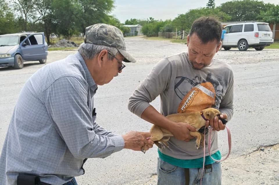 Detectan Casos de Rickettsiosis en Nuevo Laredo y Reynosa