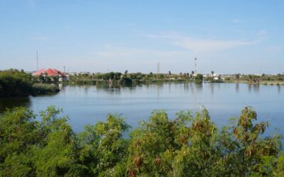 Atienden Autoridades Avistamiento de Cocodrilo en El Laguito y Arroyo El Coyote