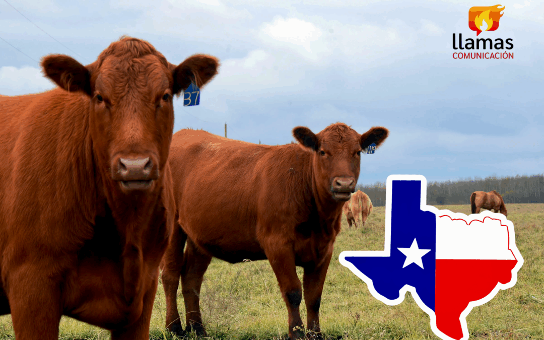 Cuestionan en Texas Plan de Respuesta Contra Gusano Barrenador