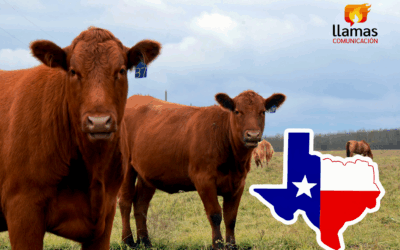 Cuestionan en Texas Plan de Respuesta Contra Gusano Barrenador