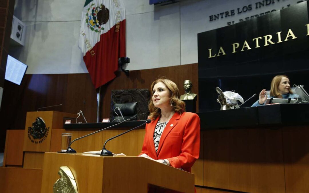 Plantea Imelda Sanmiguel Reforzar Protección a pueblos indígenas y Afromexicanos