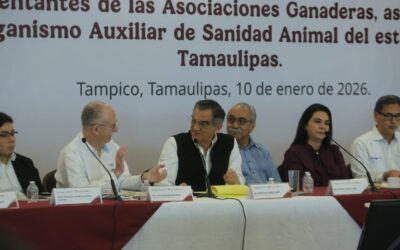 Refuerza Tamaulipas Acciones Contra Gusano Barrenador