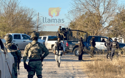 Decomisa AIC Marihuana en Cateo en El Centinela