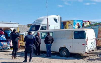 Cobra Vida Bajas Temperaturas
