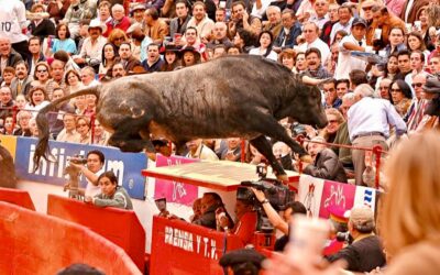 A 20 Años del Vuelo de «Pajarito» Grabado en la Memoria de la Plaza México