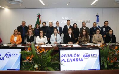 Reta PAN a Anular Elecciones «Turbias» en Reforma Electoral