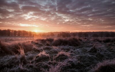 Exhorta Gobierno a Extremar Precauciones por Evento Norte