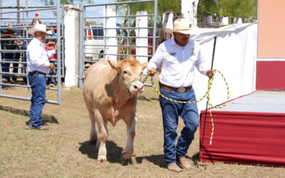 Abre Gobierno Municipal Programa de Mejoramiento Ganadero