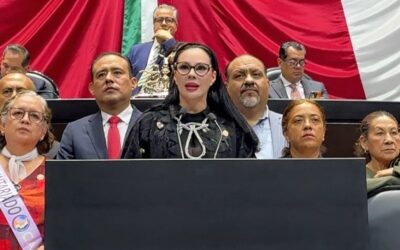 Defiende Giselle Arellano Causa Ciudadanas