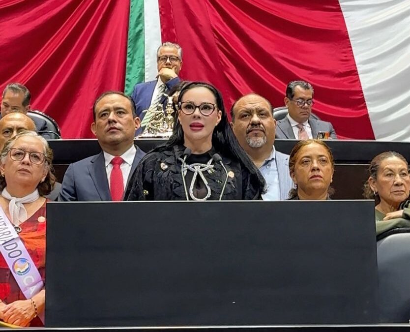 Defiende Giselle Arellano Causa Ciudadanas