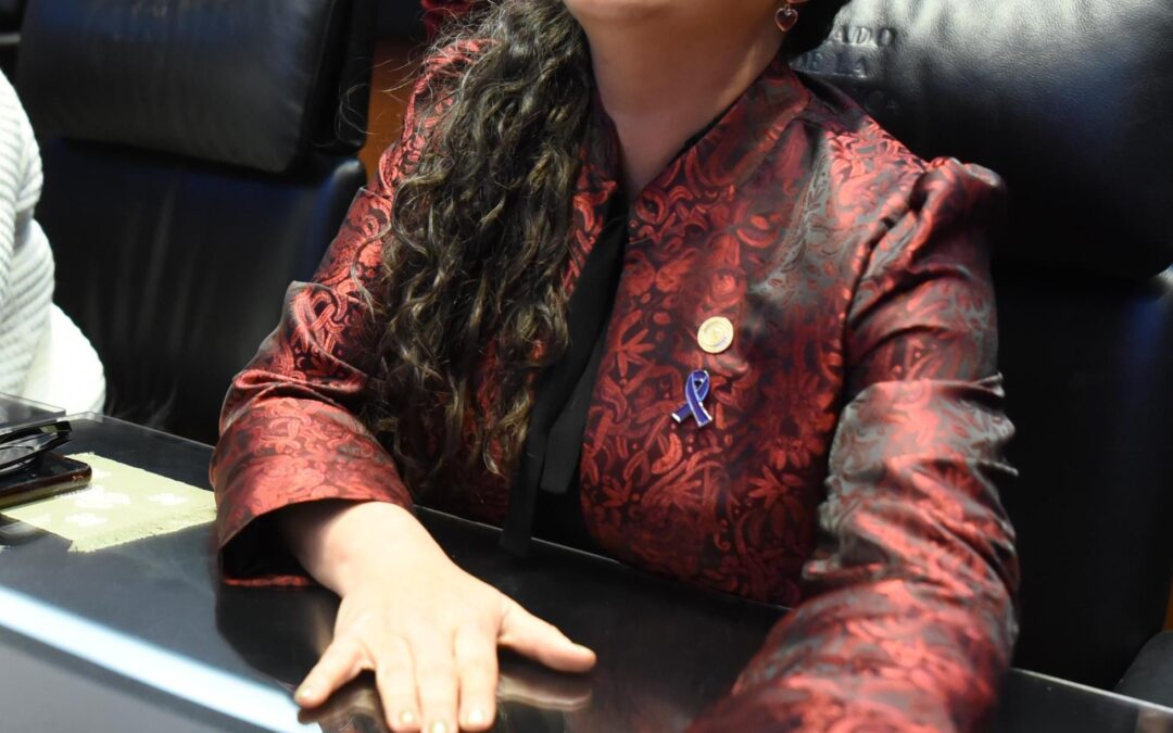 Respaldamos el “Plan B” de la presidenta Claudia Sheinbaum Pardo: senadora Olga Sosa Ruíz
