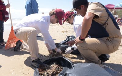 Une Esfuerzos Tamaulipas Para Sanear Litoral