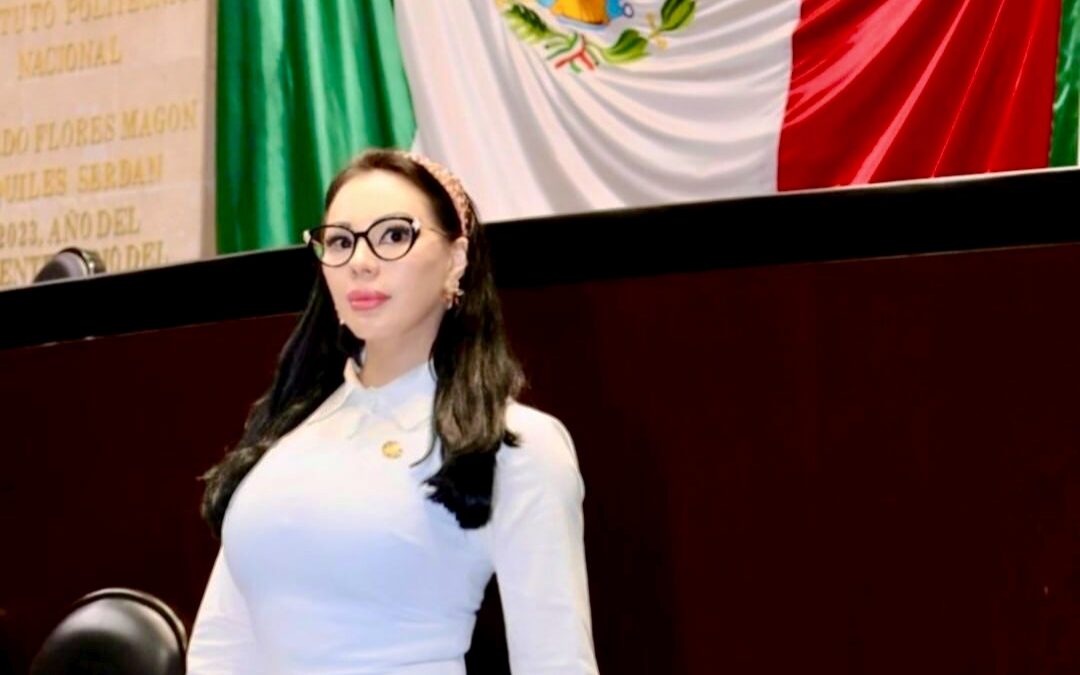 Defiende Giselle Arellano Su Voto Contra la Reforma Electoral