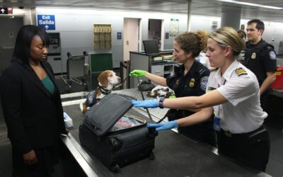 Desplegará Trump más ICE en Aeropuertos