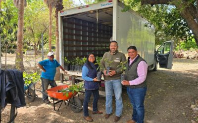 Avanza Nuevo Laredo Hacia Entorno más Verde y Sustentable