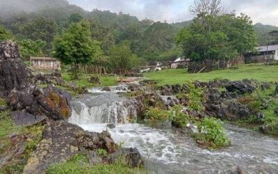 Vota por Tamaulipas en Lo Mejor de México 2026