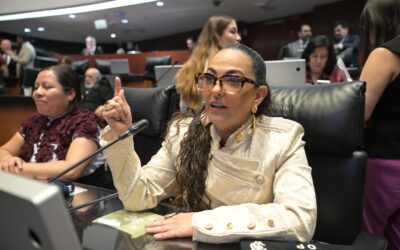 Busca Olga Sosa Blindaje al Autotransporte