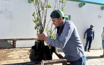 Impulsa Parras Coahuila Reforestación con Donación de Árboles