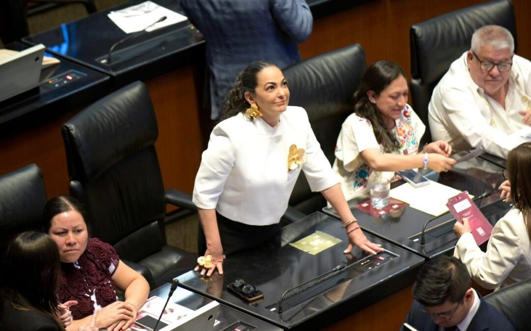 Defiende Olga Sosa Soberanía y Exige Instituciones Eficaces con Control Democrático