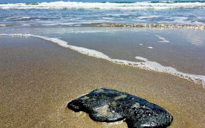 Arriban Manchas de Chapopote a Playas de Texas