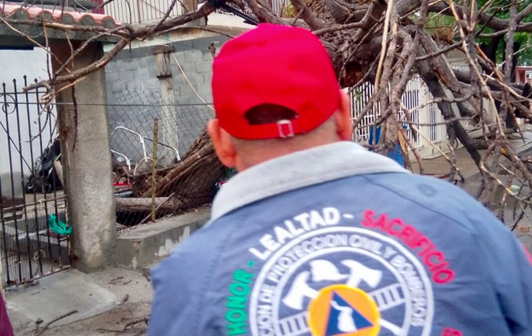 Sorprende Frente Frío Primaveral con Lluvia y Ráfagas en Nuevo Laredo