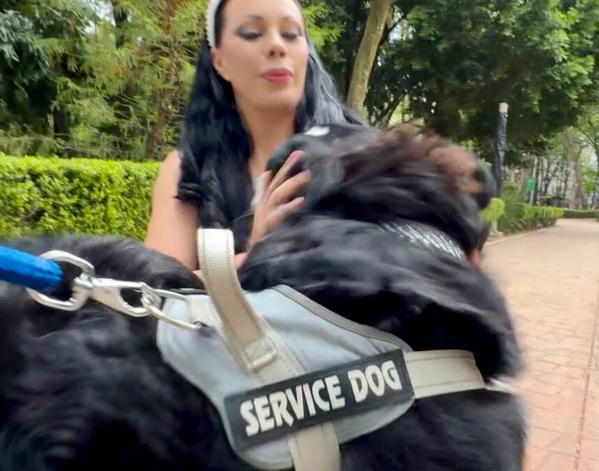 Encabeza Giselle Arellano Ofensiva Contra Maltrato Animal