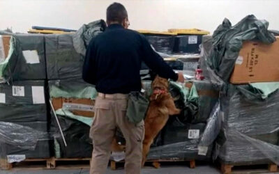 Aseguran Más de un Millón 800 Mil Cigarros Ilegales en el AICM